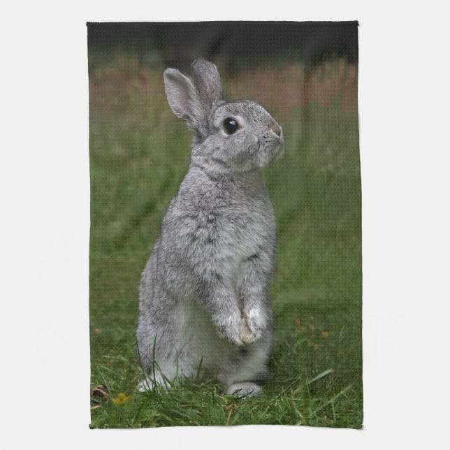 Cute Baby Bunny Kitchen Towel (Vertical)