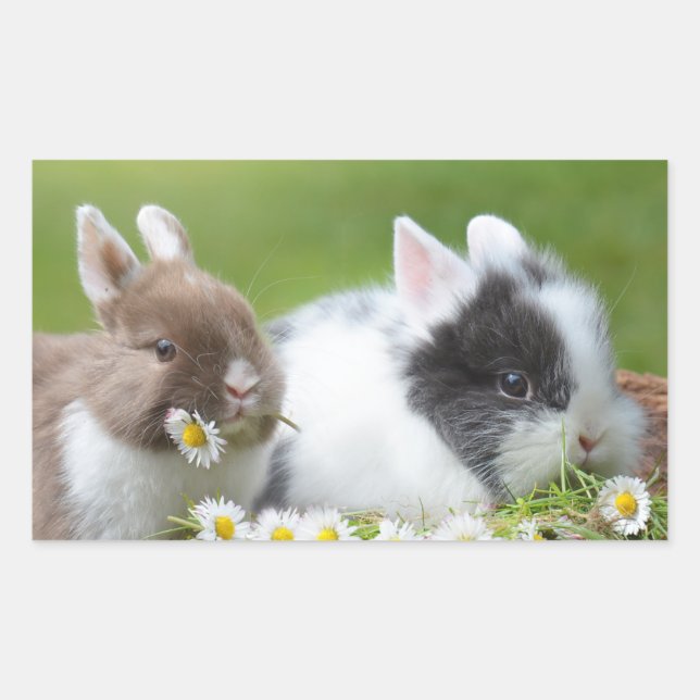 Cute Baby Bunny Rabbits with Flowers Sticker (Front)
