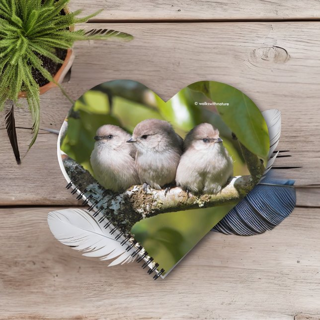 Cute Baby Bushtit Songbirds in the Pear Tree Notebook (Three Baby Bushtits on the Branch Journal Cover Photo)