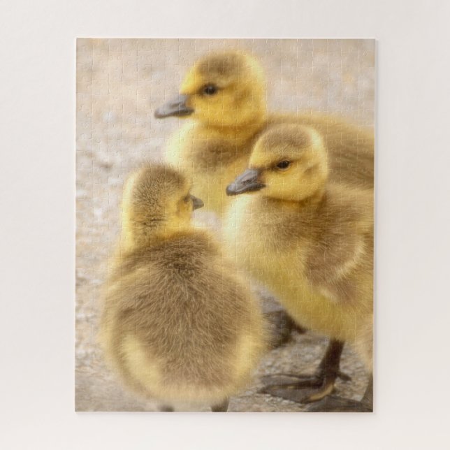 Cute Baby Canada Geese Soft Bird Nature Jigsaw Puzzle (Vertical)
