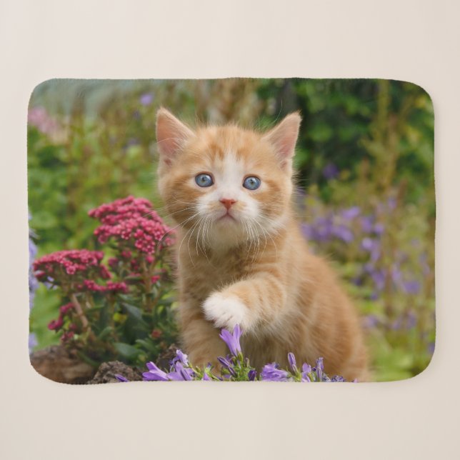 Cute Baby Cat Kitten Pet Playing Animal Photo Head Sherpa Blanket (Front (Horizontal))