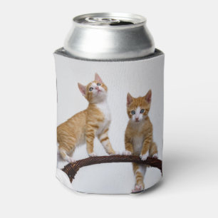 Cute Baby Cats Kittens Funny Gym Photo - Can Cooler