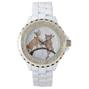 Cute Baby Cats Kittens Funny Gym Photo dial-plate Watch