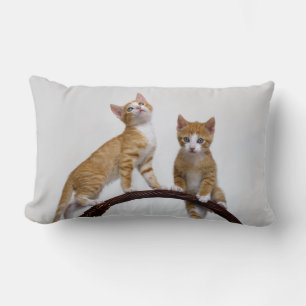 Cute Baby Cats Kittens Funny Gym Photo - Throw Lumbar Pillow