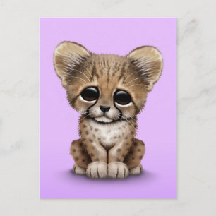 Cute Baby Cheetah Cub on Purple Postcard
