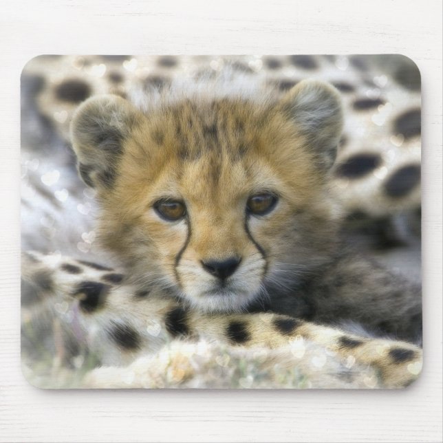 Cute Baby Cheetah Mouse Pad (Front)