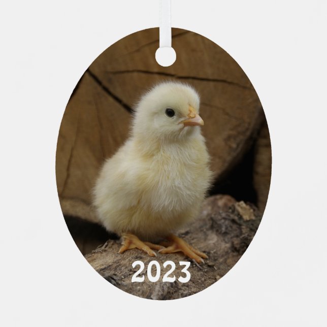 Cute Baby Chick Metal Ornament (Back)