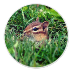 Cute Baby Chipmunk Peeking Wildlife Ceramic Knob