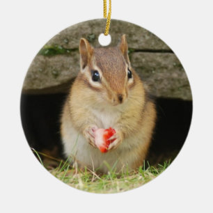 Cute Baby Chipmunk with Strawberry Ceramic Ornament