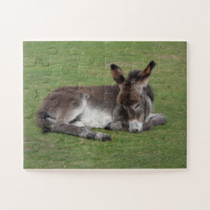 Cute Baby Donkey Foal Sleeping Jigsaw Puzzle