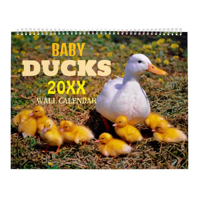 Cute Baby Ducks 2027 Wall   Calendar (Cover)