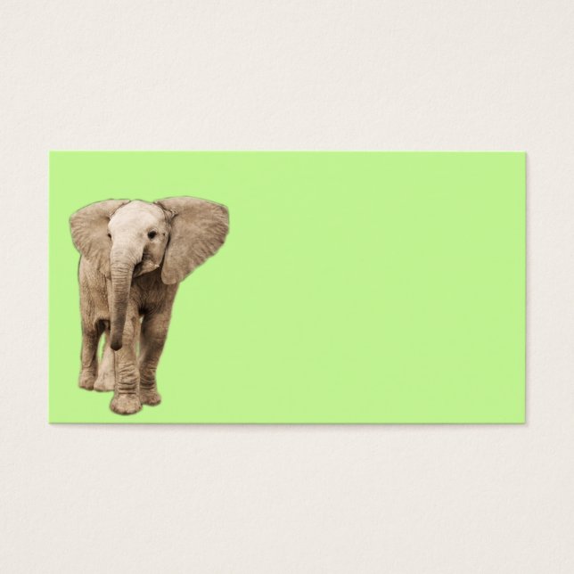 Cute Baby Elephant (Front)