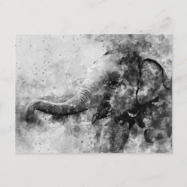 Cute Baby Elephant Black and White Watercolor Postcard (Front)