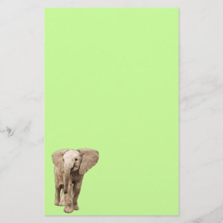 Cute Baby Elephant Stationery