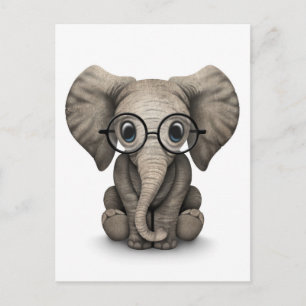 Cute Baby Elephant with Reading Glasses White Postcard