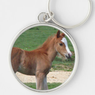 Cute Baby Foal Destiny Gifts Springtime Adorable Keychain