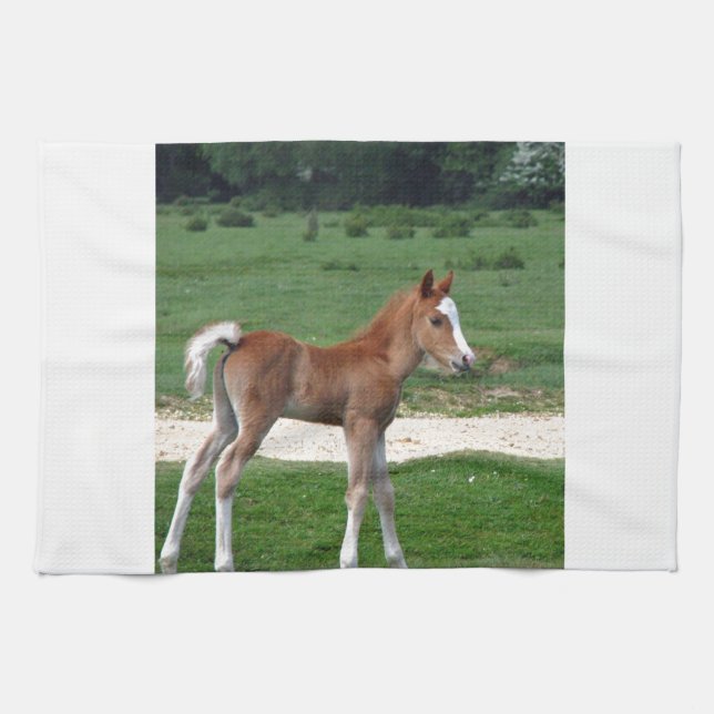 Cute Baby Foal Destiny Gifts Springtime Adorable Kitchen Towel (Horizontal)