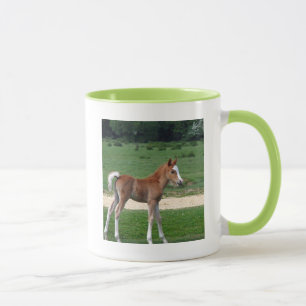 Cute Baby Foal Destiny Gifts Springtime Adorable Mug
