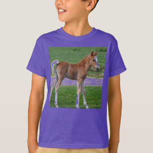 Cute Baby Foal Destiny Gifts Springtime Adorable T-Shirt