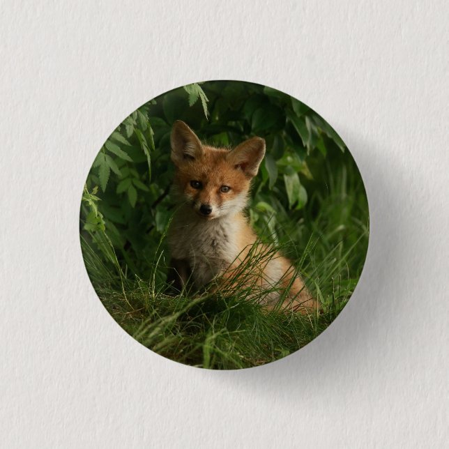 Cute Baby Fox in a Green Forest 1 Inch Round Button (Front)