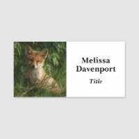 Cute Baby Fox in a Green Forest