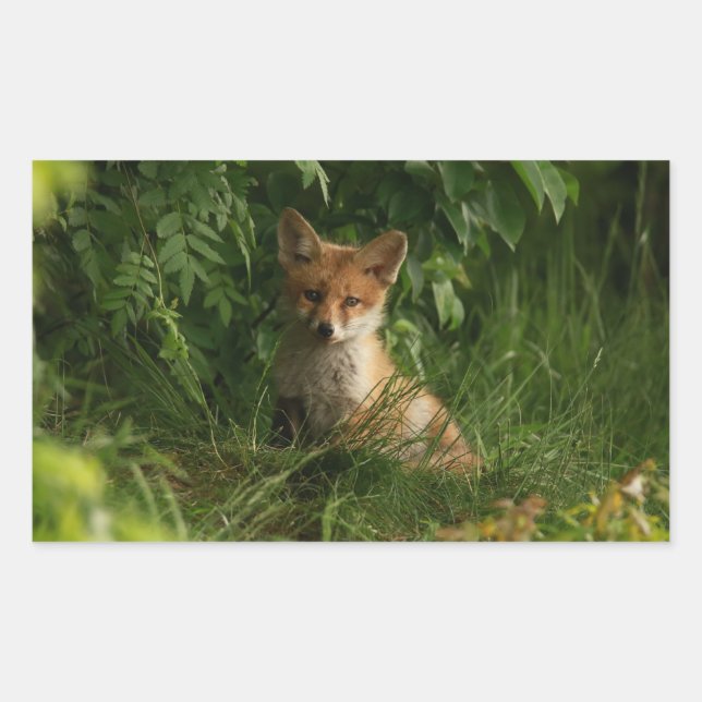 Cute Baby Fox in a Green Forest Sticker (Front)