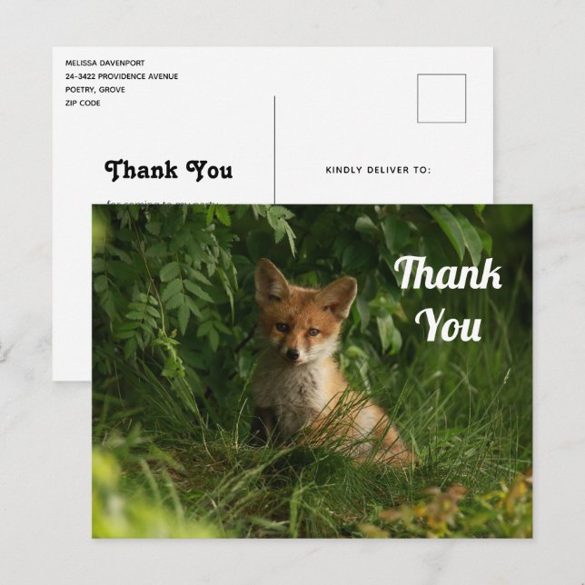 Cute Baby Fox in a Green Forest Thank You Postcard (Front/Back)
