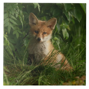 Cute Baby Fox in a Green Forest Tile