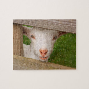 Cute Baby Goat and Fence Jigsaw Puzzle
