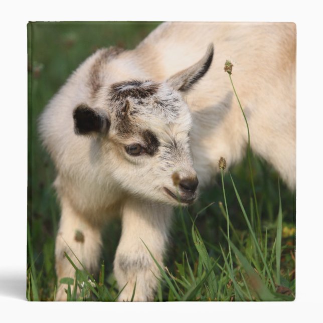 Cute Baby Goat Binder (Front)