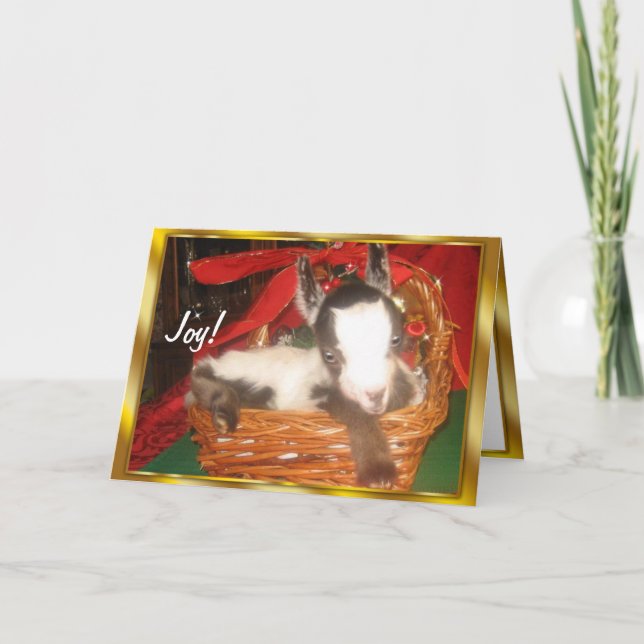 Cute Baby Goat  Christmas Card (Front)
