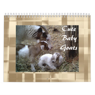 Cute Baby Goats Calendar