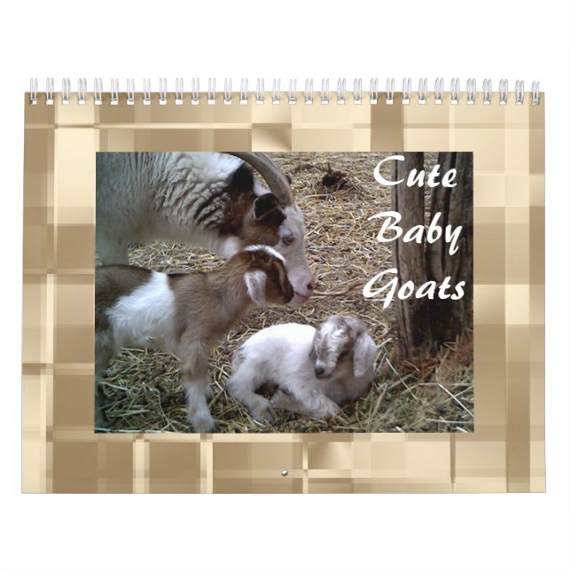 Cute Baby Goats Calendar (Cover)