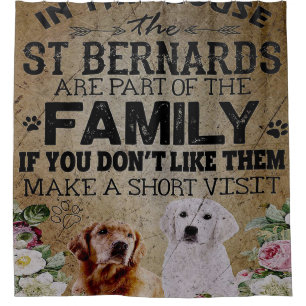 cute baby Golden Retriever