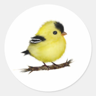 Cute Baby Goldfinch Bird Stickers