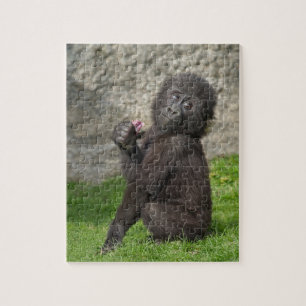 Cute Baby Gorilla Jigsaw Puzzle