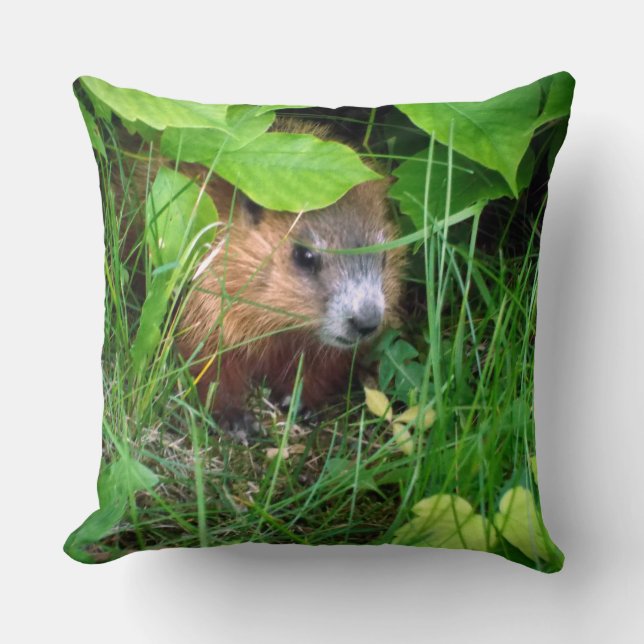 Cute Baby Groundhog Marmotte Murmeltier Throw Pillow (Front)