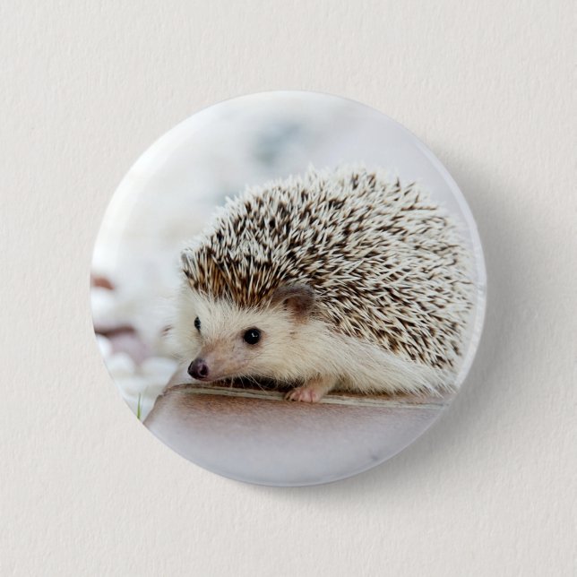 Cute Baby Hedgehog 2 Inch Round Button (Front)