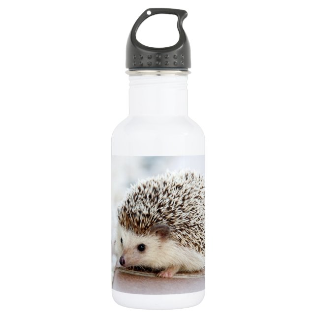 Cute Baby Hedgehog 532 Ml Water Bottle (Front)
