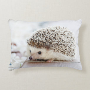 Cute Baby Hedgehog Accent Pillow