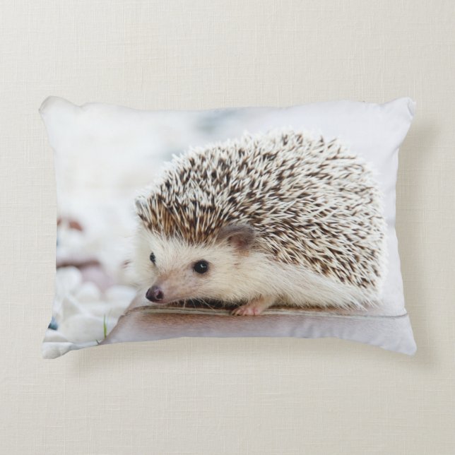 Cute Baby Hedgehog Accent Pillow (Front)