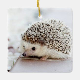 Cute Baby Hedgehog Animal Ceramic Ornament