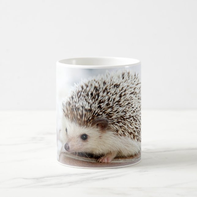 Cute Baby Hedgehog Animal Coffee Mug (Center)