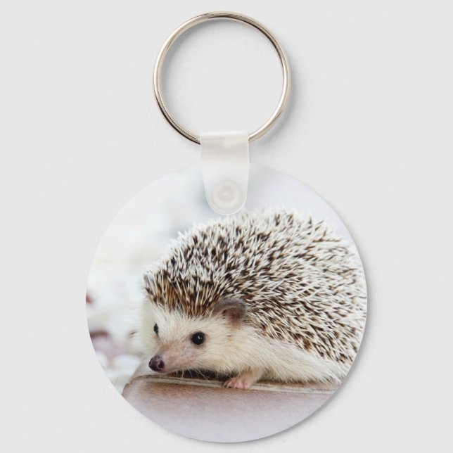 Cute Baby Hedgehog Animal Keychain (Front)