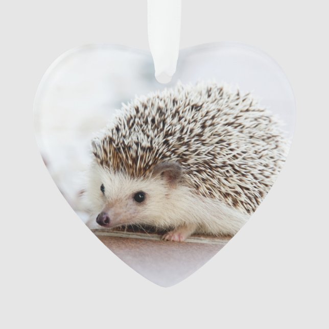 Cute Baby Hedgehog Animal Ornament (Front)