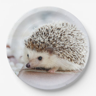 Cute Baby Hedgehog Animal Paper Plate