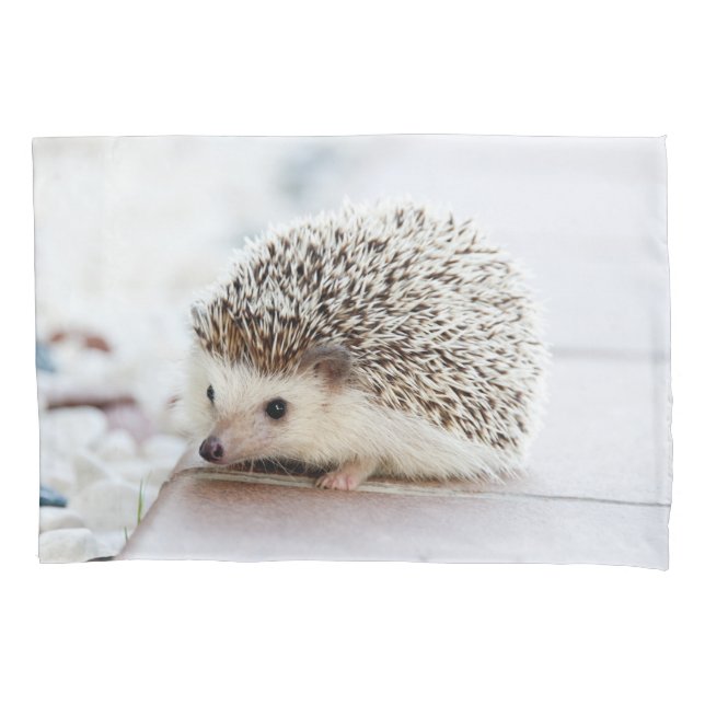 Cute Baby Hedgehog Animal Pillowcase (Front)