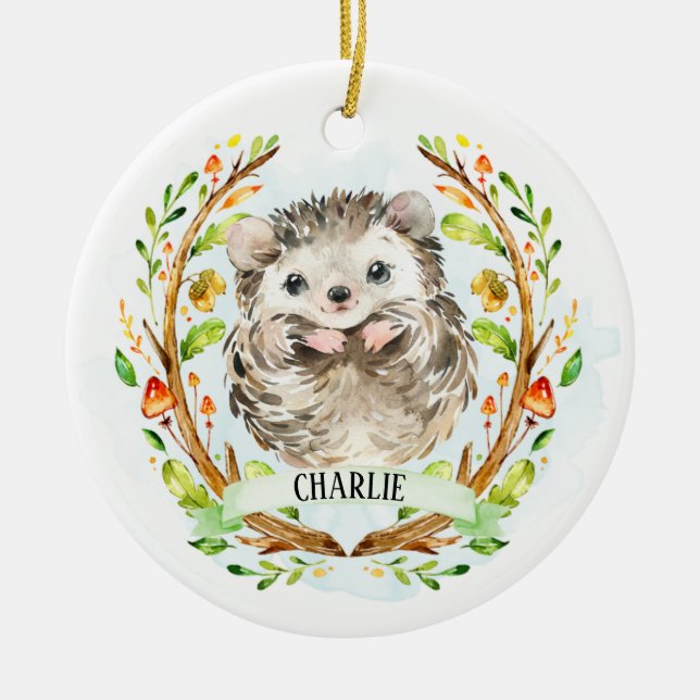 Cute Baby Hedgehog Ceramic Ornament (Front)