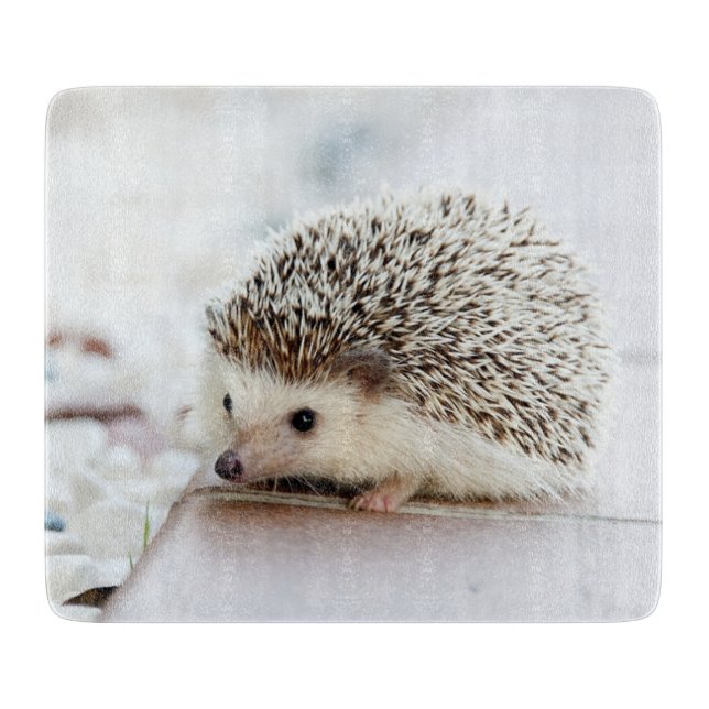 Cute Baby Hedgehog Cutting Board (Front)
