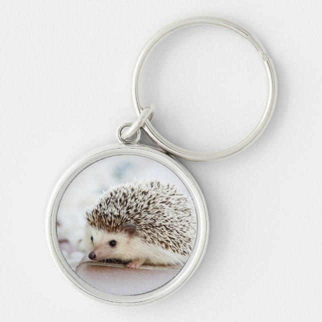 Cute Baby Hedgehog Keychain (Front)